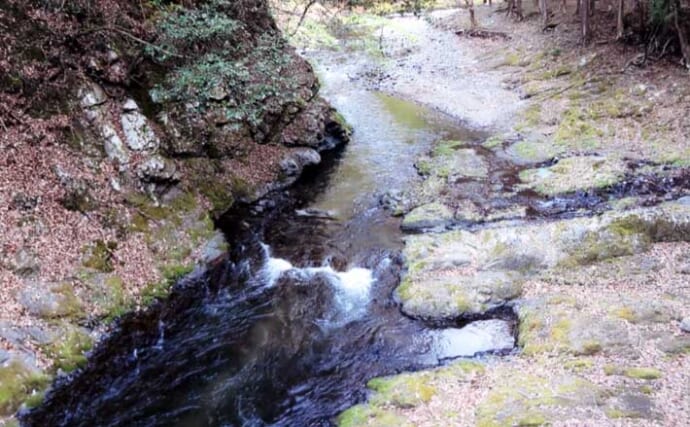 「多彩なポイントで釣果が期待できる」2025年鮎（アユ）釣りおすすめ河川：秋山川