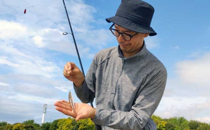 「キス釣りシーズンは遅れ気味？」瀬戸内でのちょい投げ釣りで本命キス5匹【兵庫】