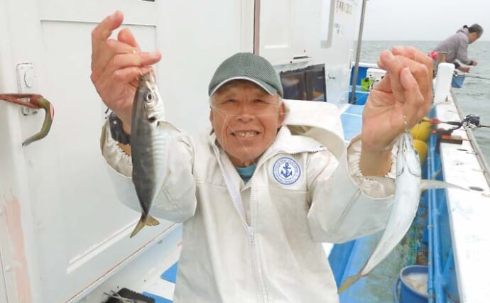 ちがさき丸のLT五目釣りでアジ・イサキ・タカベが入れ食い【神奈川】泳がせにヒラメらしきアタリも