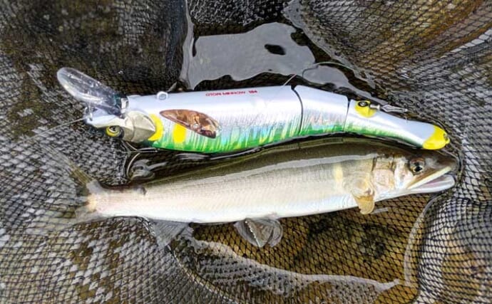 初心者向けアユルアーの始め方完全ガイド　必要な道具と釣り方・ルールを徹底解説