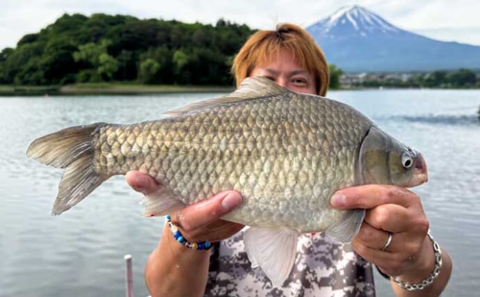 吉田康雄のザ・チャレンジへらぶな【出せるのか！？尺半超in河口湖：第2回】