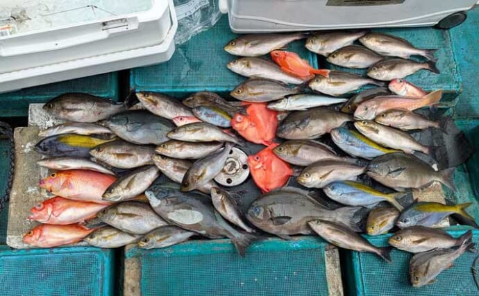 「那智勝浦で旬の美味魚が続々！」コマセ釣りでイサギ・ウメイロ・尾長グレ手中【良丸】