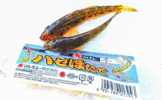 都心のオアシス・佃堀でハゼ釣り満喫【東京】8cm級良型交じり17尾の好スタート