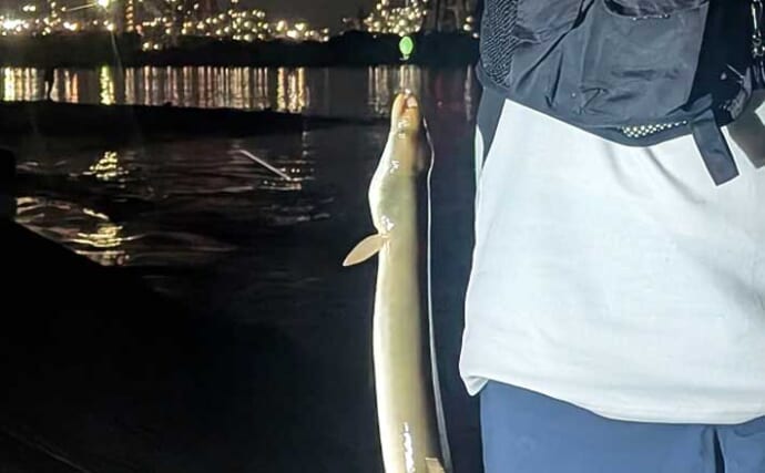 鈴鹿川河口の投げ釣りでウナギ・マダカ・キビレを手中【三重】満潮前後に集中ヒット