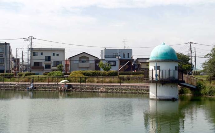 今週のヘラブナ推薦釣り場2025【静岡・門池】