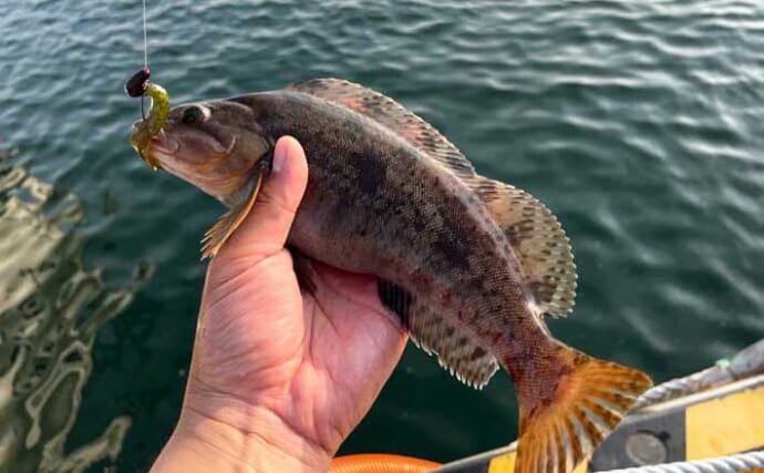 足元のブロックの穴に仕掛けを入れるだけでクロソイにアイナメが釣れた！【北海道】