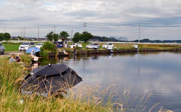 今週のヘラブナ推薦釣り場2025【茨城・中沼】