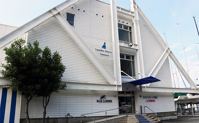 「操船初心者も安心！」最新の運転支援システム搭載のレンタルボートでワラサ手中【静岡・沼津】