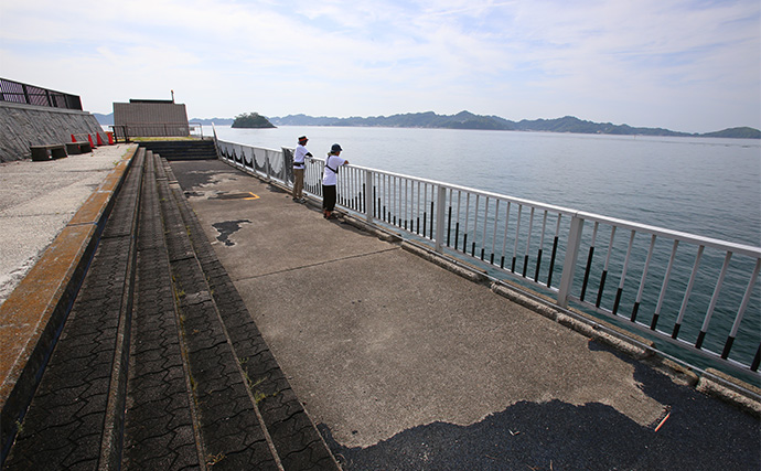 釣り人の夢【寝ながら釣り】が現実に！ ルーフトップテント『peakpod』で快適フィッシング