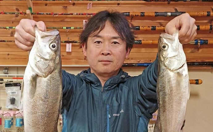 木曽川の投げ釣りでマダカ（シーバス）52cm頭に2尾手中【愛知】稚アユの遡上ルート予想が的中