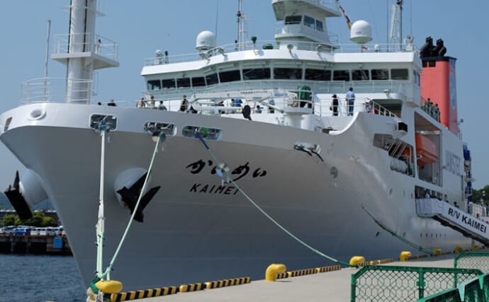 「深海に7000年生きるサンゴがいた！」日本の海の保全エリアで15種の新種を発見