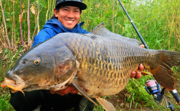「桑の実に鯉が好反応！」河川でのウキ釣りで80cm級頭に良型コイが連発【埼玉・新河岸川】
