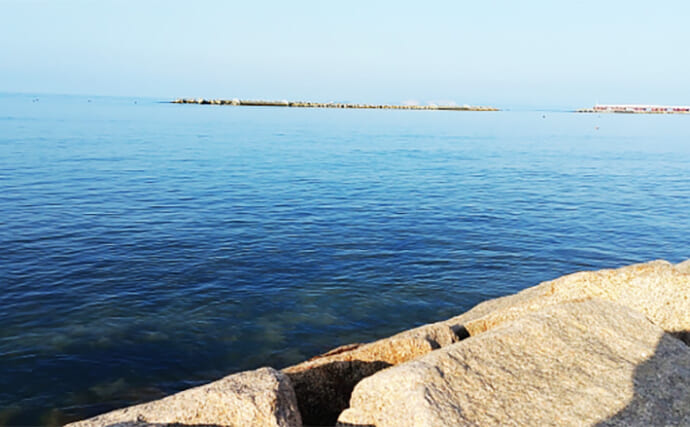 「キスは干潮と満潮どちらが釣れる？」キス釣りと潮位のリアルな関係性