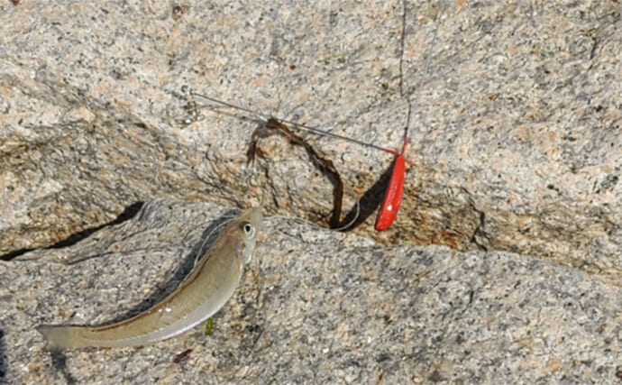 「渋い時でもアタリが欲しい！」キス釣りで潮が動かないときに試したいテクニック6選