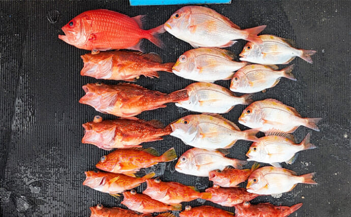 沖のルアー五目釣りでカサゴ・レンコダイ・エビスダイと多彩釣果【三重】深場攻めが奏功