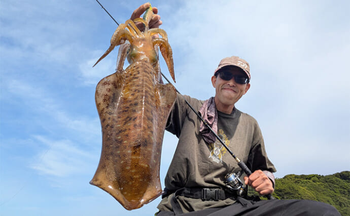 堤防エギングで1kg超えアオリイカを手中【三重】潮色に合わせたカラーチェンジが的中