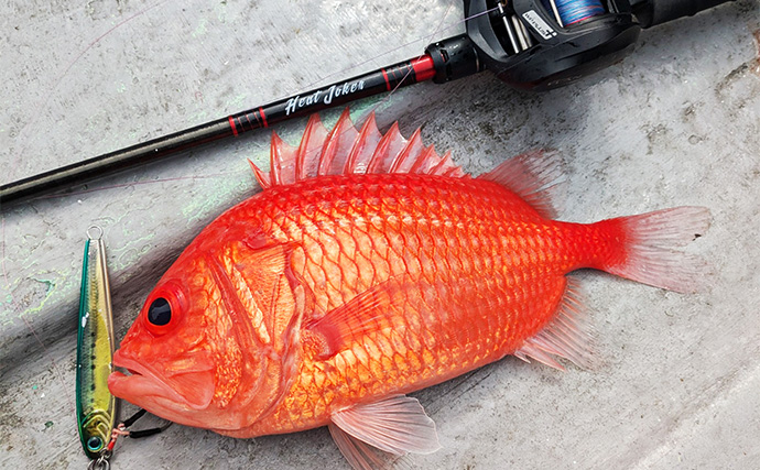 沖のルアー五目釣りでカサゴ・レンコダイ・エビスダイと多彩釣果【三重】深場攻めが奏功