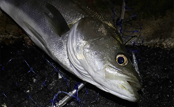 アピア グランデージライト76 チヌゲームスペシャル アピア