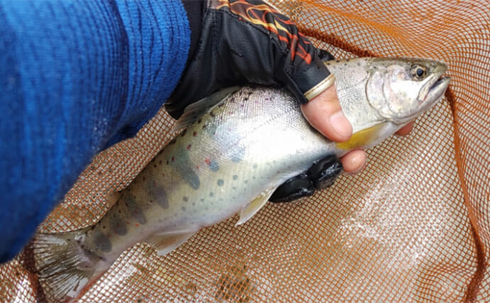 「梅雨は釣り師の腕の見せ所？」梅雨時期の渓流釣り攻略法【タックル・注意点・釣り方を解説】
