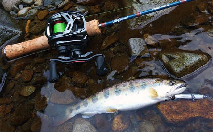 渓流ルアー釣りでアマゴ＆イワナ31匹をキャッチ【長良川水系】新ロッドのウロコ付けも完了
