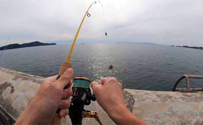 1,100円の「ダイソールアーロッド」でちょい投げ釣りしたらアナゴが連発！【和歌山】