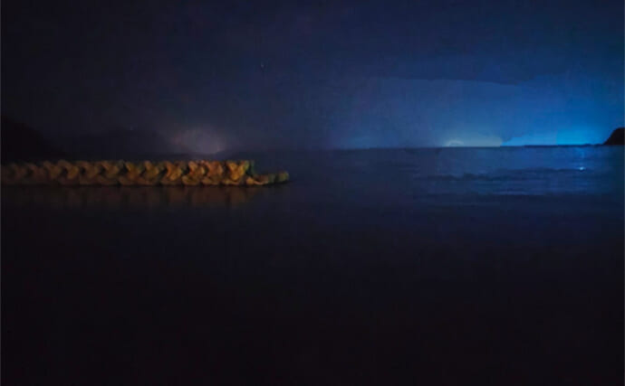 エギング最中に目撃した「波間に浮かぶ得体の知れない物」の正体とは？