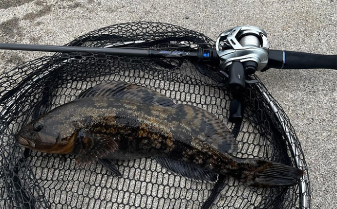 「13時間かけて本命と対面」噴火湾でのロックゲーム釣行で40cmアイナメをキャッチ【北海道】