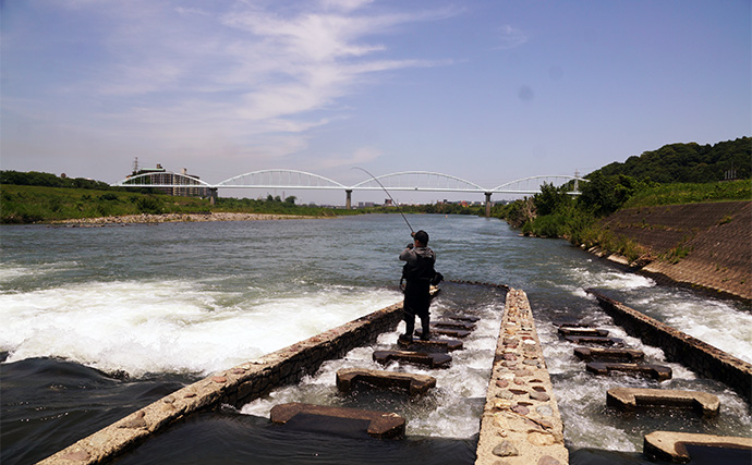 「超遠投で大型河川のシーバスを攻略！」ソニックブームシリーズを使い分けて本命と対面【大分】