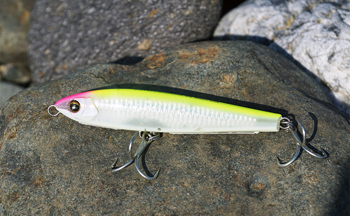 「超遠投で大型河川のシーバスを攻略！」ソニックブームシリーズを使い分けて本命と対面【大分】