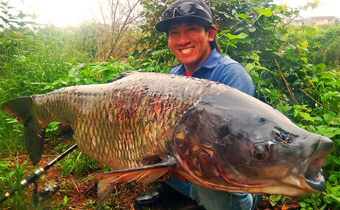 「桑の実エサに想定外の大型魚ヒット！」新河岸川のコイ釣りで21kg超えソウギョを手中【埼玉】