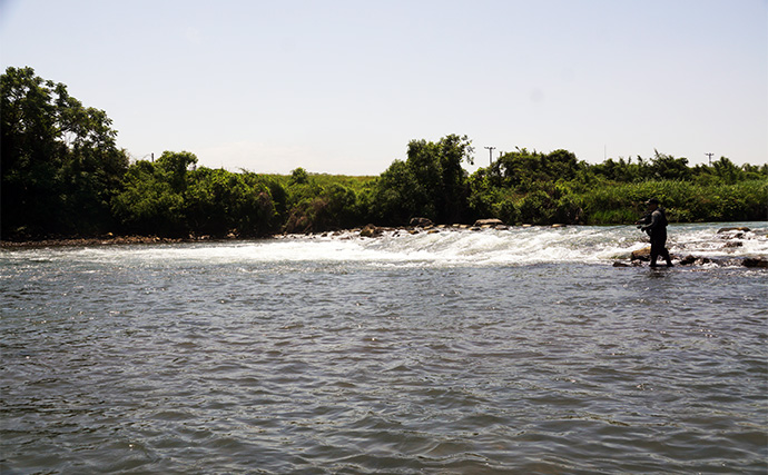 「超遠投で大型河川のシーバスを攻略！」ソニックブームシリーズを使い分けて本命と対面【大分】