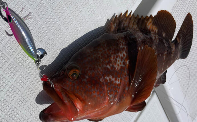 「2種の活きエサを実釣比較！」アジvsギンペイの泳がせ釣り対決は大差での決着に【新潟】