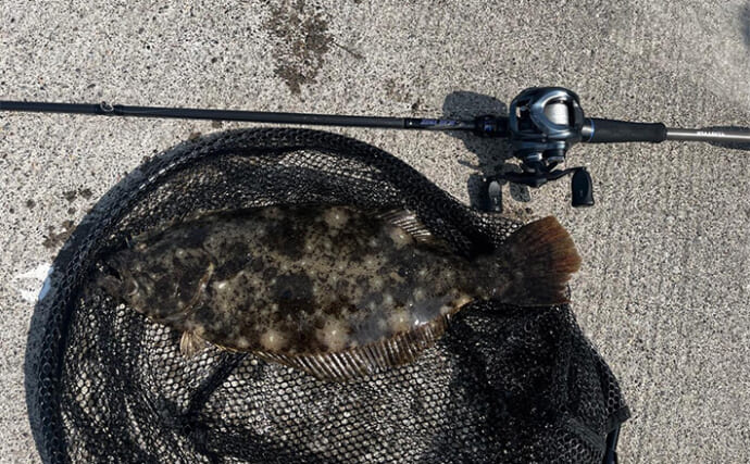 北海道の陸っぱりロックゲームでアイナメにヒラメを手中【噴火湾】ブロックの隙間狙いが奏功