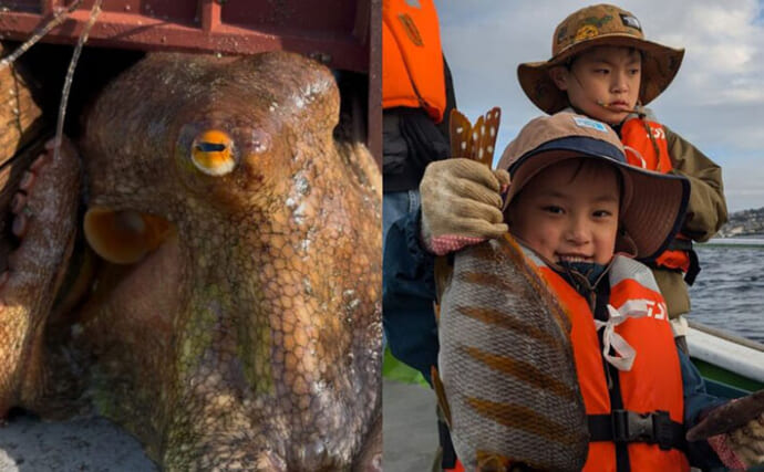 「漁業体験でタコをゲット！」相模湾でタコつぼ漁や刺し網漁を体験できるサービスとは？