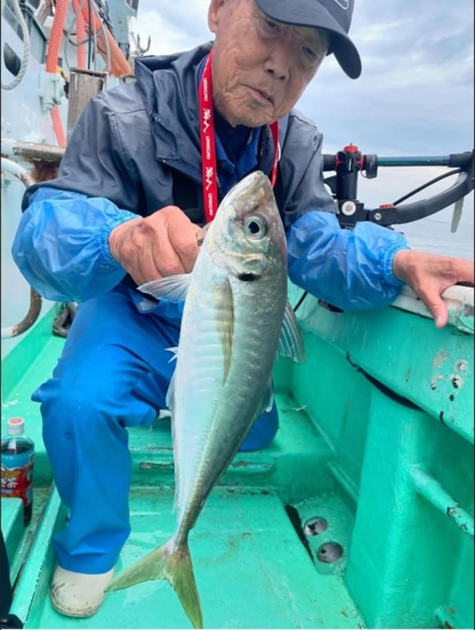 50cm級が交じる船アジ釣り！チニング食い活発＆マダコ規定数到達【今週の全国厳選釣果】