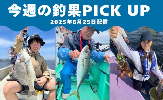 50cm級が交じる船アジ釣り！チニング食い活発＆マダコ規定数到達【今週の全国厳選釣果】