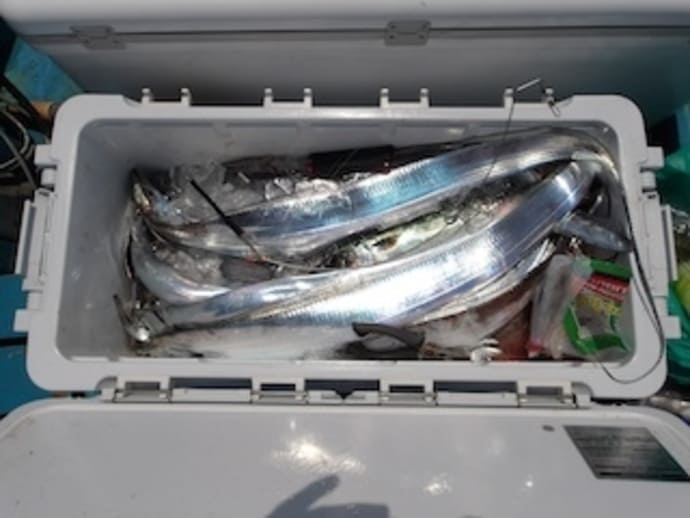 離島で約10kgのヒラマサをゲット！夏休みの遠征釣行におすすめ＆青物期待大【今週の全国厳選釣果】