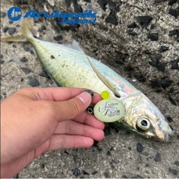 離島で約10kgのヒラマサをゲット！夏休みの遠征釣行におすすめ＆青物期待大【今週の全国厳選釣果】