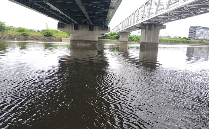 養老川のルアーマゴチ釣りで本命3匹【千葉】ワームとバイブレーションにヒット