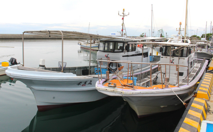 「ビギナー女子がフグを連発！」淡路島沖で新作カットウ釣り仕掛けが炸裂【兵庫】