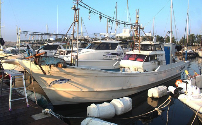 「ブレードがイカに効く！」アクアウェーブ『カドル』でケンサキイカを攻略しよう