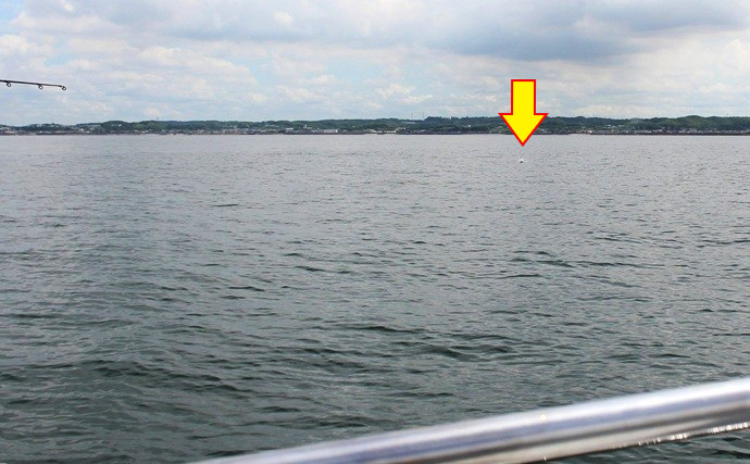 「ルアーマゴチ釣りはシーバスロッド1本でOK？」ワインド・ストップ＆ゴー使い分けて攻略