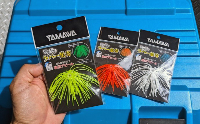 「ビギナー女子がフグを連発！」淡路島沖で新作カットウ釣り仕掛けが炸裂【兵庫】