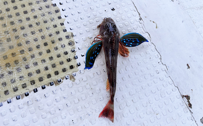 「炎天下でも涼しい＆携帯の充電もできる！」空調ウェア『Bulonchiファンバッテリー』でキス釣りしてみた