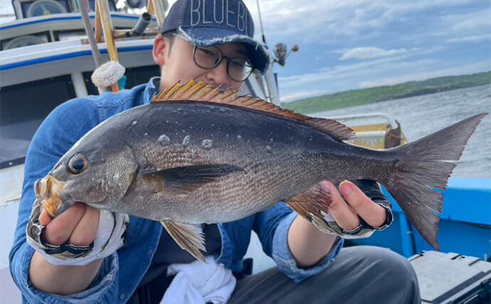 シーズン本番のイサキSLJゲームで本命11匹【山口・じらまる】巻きの釣りに好反応