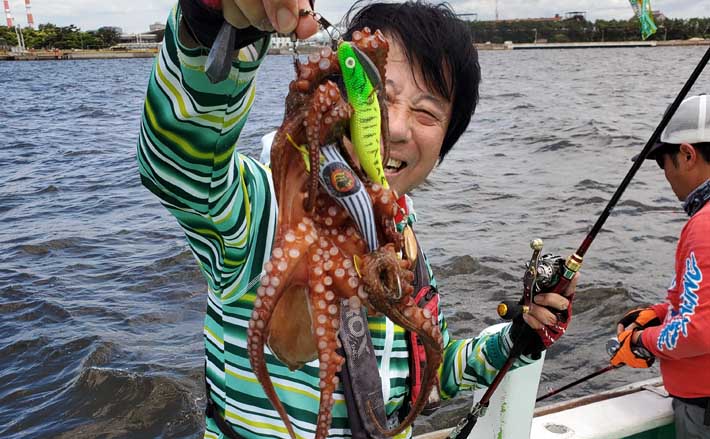 2.3kg級大ダコ浮上！」東京湾のエギタコ釣りで1kg超えを続々キャッチ