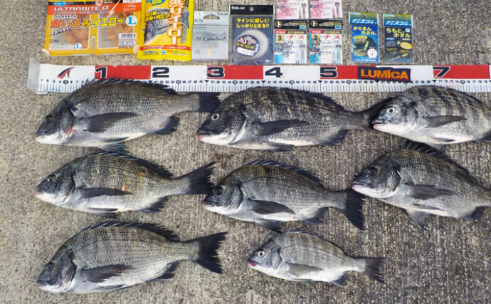 常滑港のウキダンゴ釣りでクロダイ最大35cm含む8匹キャッチ【愛知】時合を見極め連発！