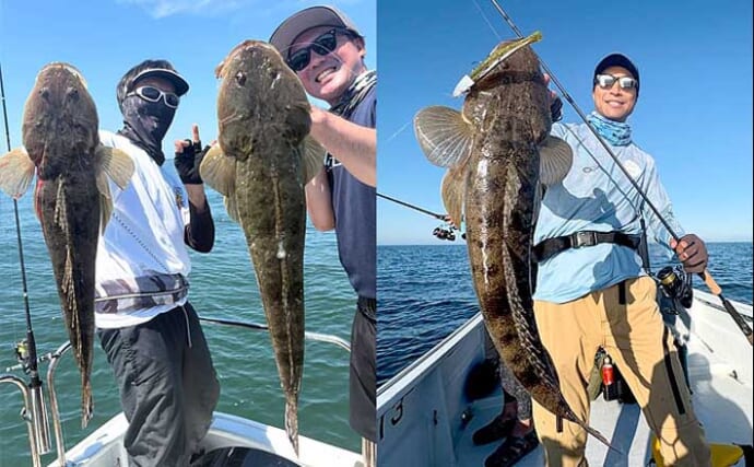 【沖のルアー釣果速報】伊勢湾マゴチゲームで60cm超えマーゴン浮上！船中25匹で全員安打達成（愛知）