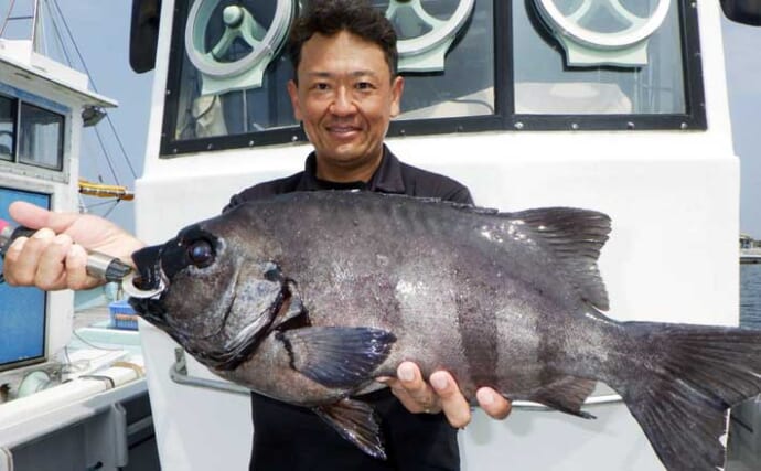 【沖釣り釣果速報】伊良湖沖のイシダイ釣りで4.6kgの良型浮上！（愛知・静岡）