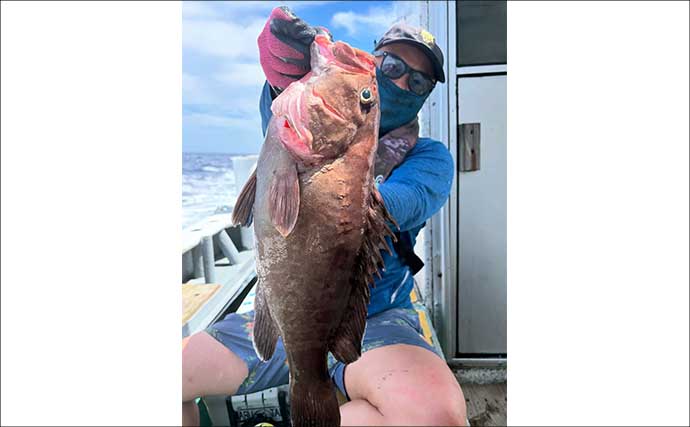 【沖釣り釣果速報】伊良湖沖のイシダイ釣りで4.6kgの良型浮上！（愛知・静岡）